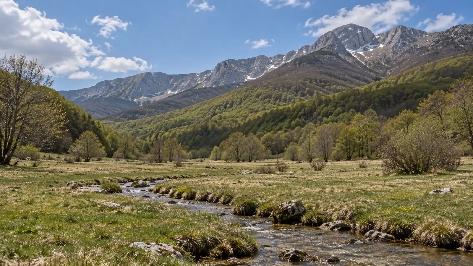 Composizione editoriale di Valle Fiorita, con prati, ruscello, faggete e rilievi delle Mainarde.